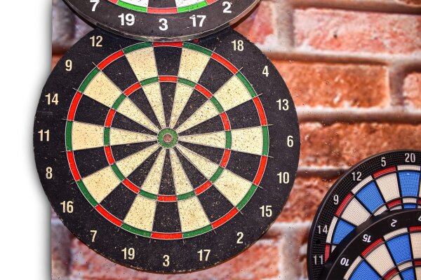 Shot Michael Smith Competition Steeldartboard 35cm